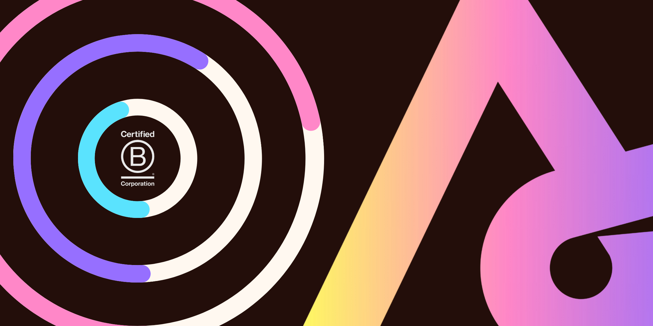 Turning Intention Into Action: Our 2025 B Corp Impact Report